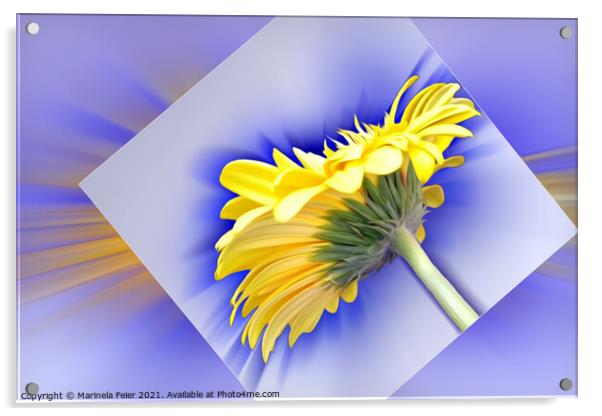 Yellow and blue Acrylic by Marinela Feier