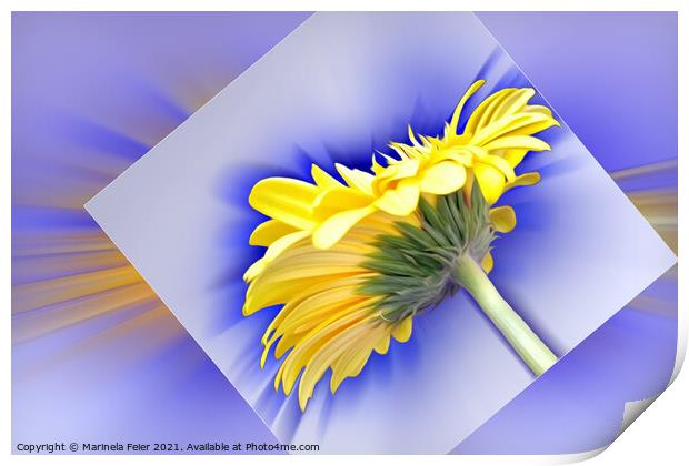 Yellow and blue Print by Marinela Feier