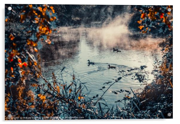 Mist on the River Wandle, London Acrylic by Milton Cogheil