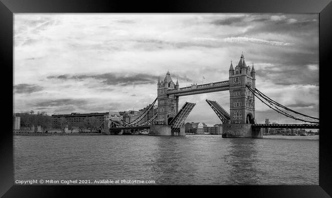 Tower Bridge open on the River Thames Framed Print by Milton Cogheil