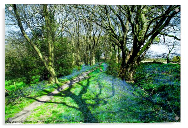 Horn Wood Bluebells  Acrylic by Alison Chambers