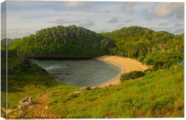 Hidden paradise lagoon sand beach Canvas Print by Hanif Setiawan