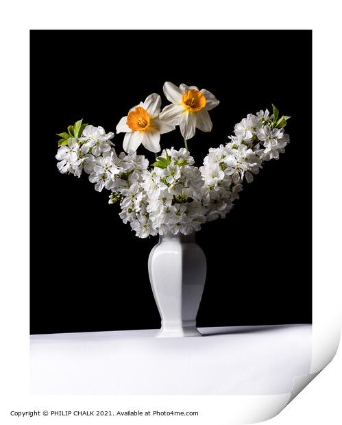 Dafodils and Apple Blossom in a vase 314 Print by PHILIP CHALK