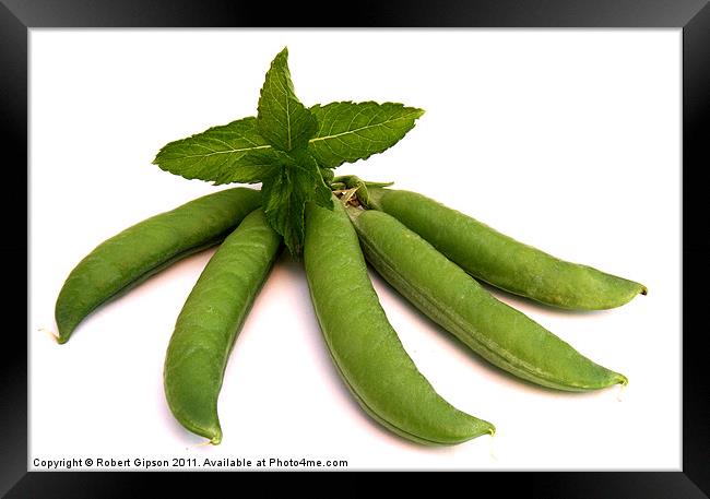 Minted Peas Framed Print by Robert Gipson