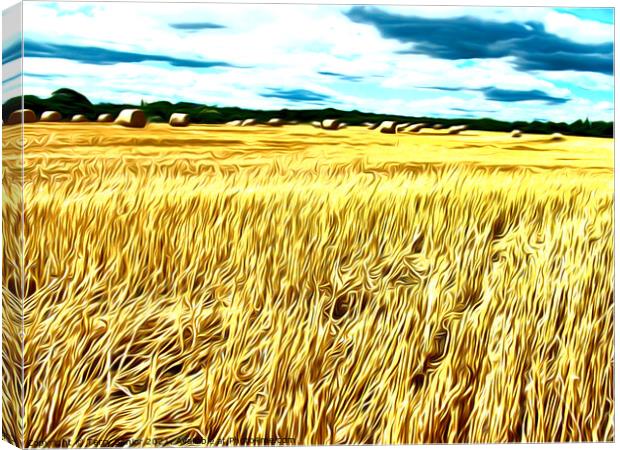 Hay-Ho Airbrushed Corn field Canvas Print by Terry Senior