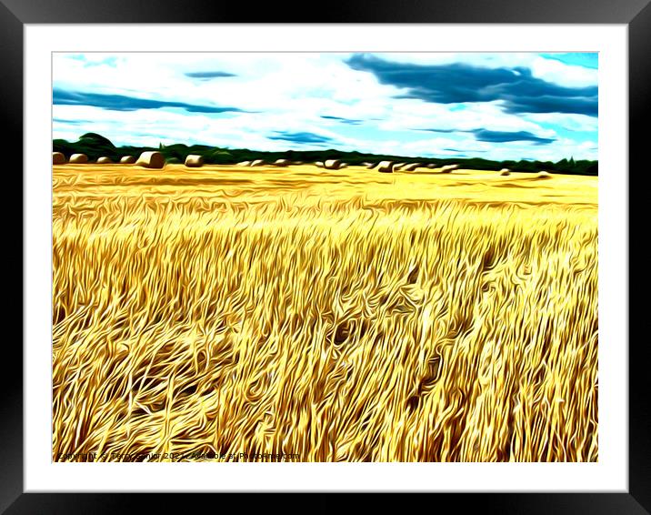 Hay-Ho Airbrushed Corn field Framed Mounted Print by Terry Senior