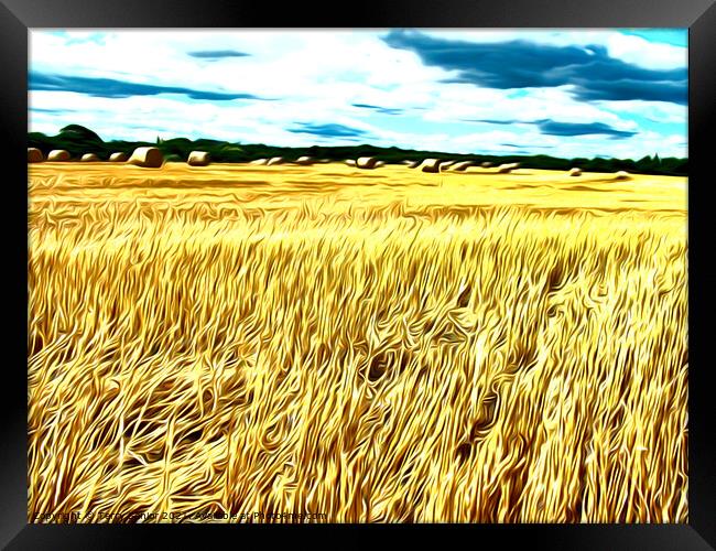 Hay-Ho Airbrushed Corn field Framed Print by Terry Senior