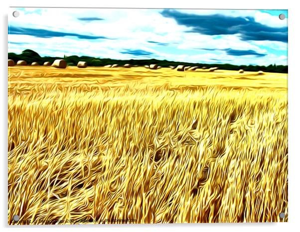 Hay-Ho Airbrushed Corn field Acrylic by Terry Senior