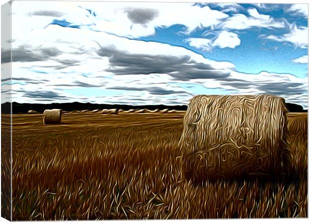 Hay making agricultural landscape airbrushed  Canvas Print by Terry Senior