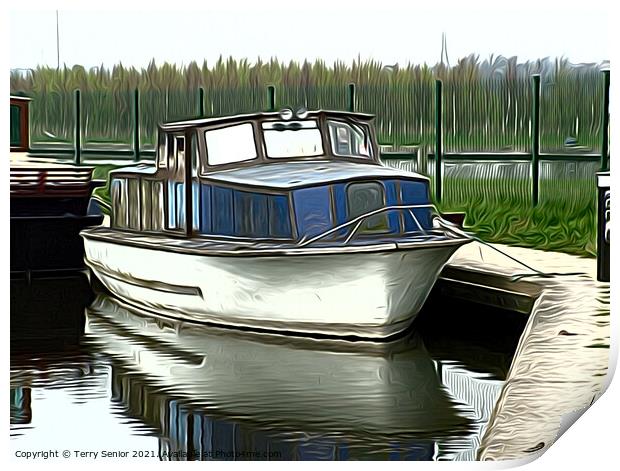 Abandoned Canal Boat  Print by Terry Senior