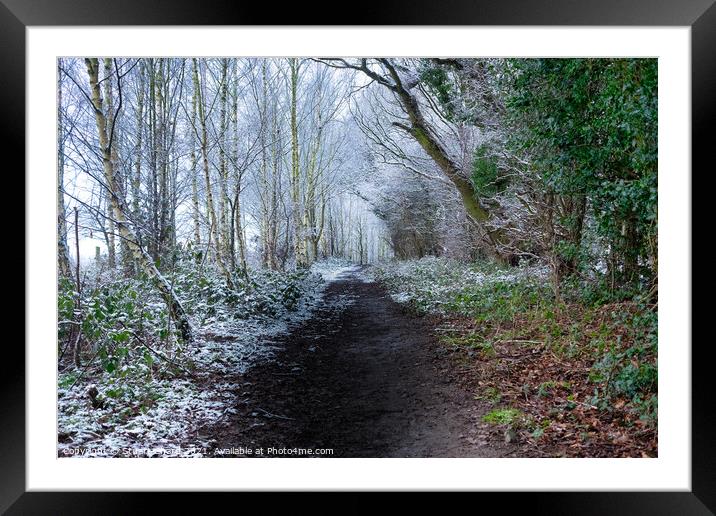 Forest path in winter Framed Mounted Print by Stuart Chard