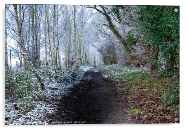 Forest path in winter Acrylic by Stuart Chard