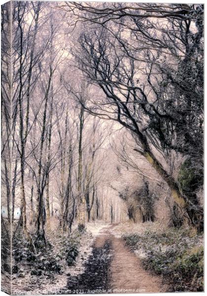 Forest path in winter Canvas Print by Travel and Pixels 