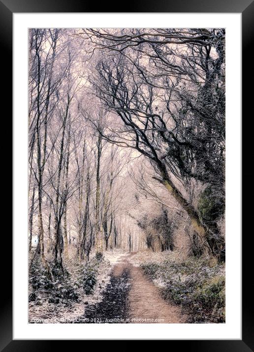 Forest path in winter Framed Mounted Print by Travel and Pixels 