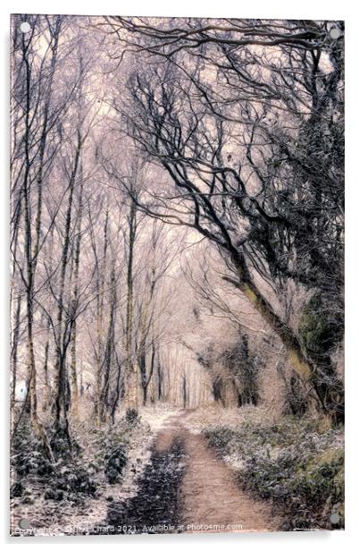 Forest path in winter Acrylic by Stuart Chard