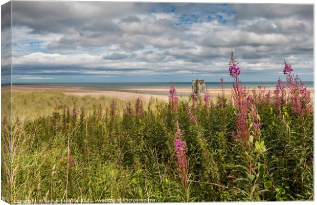 Alnmouth Beach and Aln Estuary, Northumberland Canvas Print by Richard Laidler