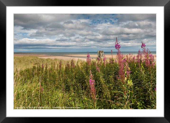Alnmouth Beach and Aln Estuary, Northumberland Framed Mounted Print by Richard Laidler