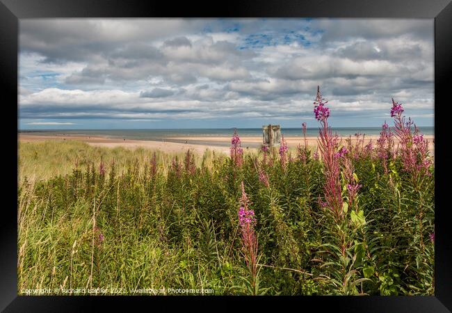 Alnmouth Beach and Aln Estuary, Northumberland Framed Print by Richard Laidler