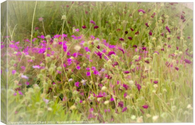 Wild flowers in the English countryside Canvas Print by Travel and Pixels 