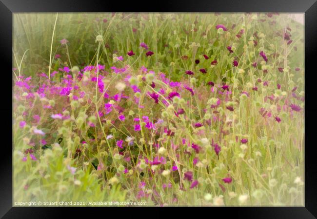 Wild flowers in the English countryside Framed Print by Travel and Pixels 