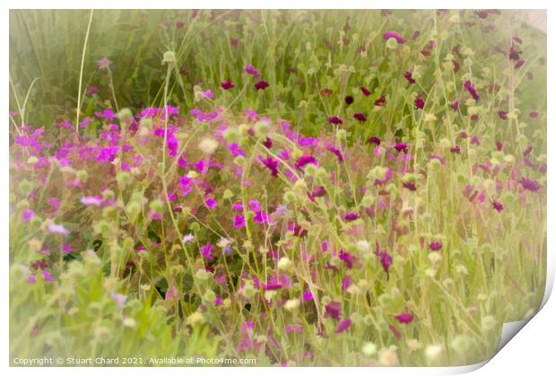 Wild flowers in the English countryside Print by Travel and Pixels 
