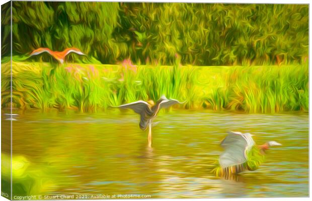Ducks on the water Canvas Print by Travel and Pixels 