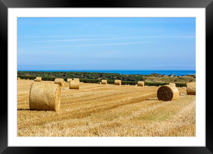 Straw Field at Embleton Framed Mounted Print by Roger Green