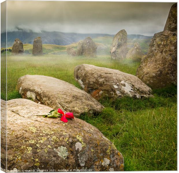 Misty Rose on Ancient Stones Canvas Print by Heather Sheldrick