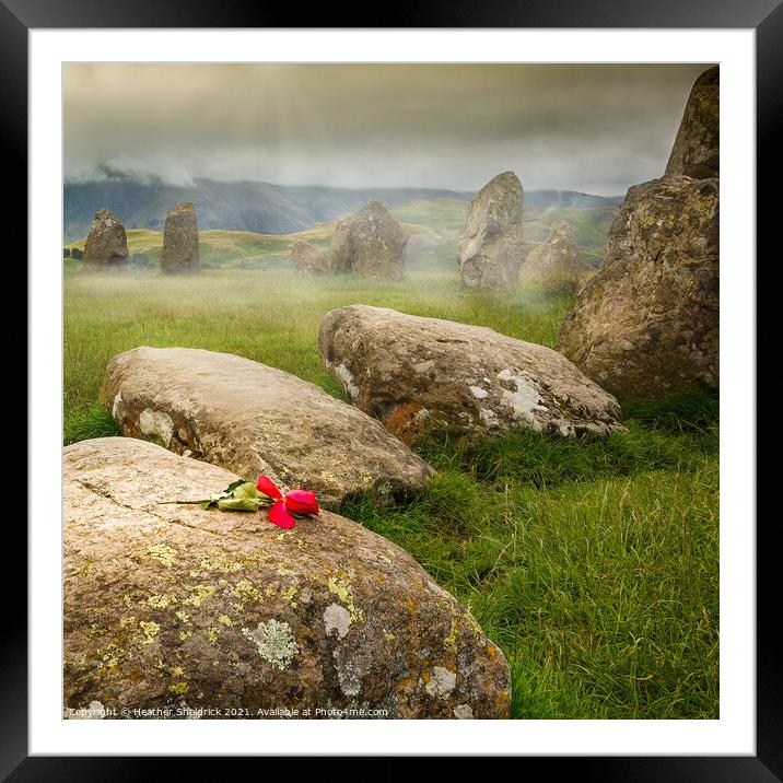 Misty Rose on Ancient Stones Framed Mounted Print by Heather Sheldrick