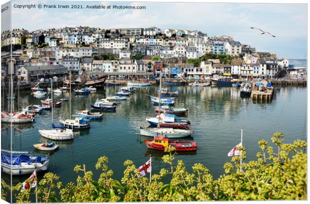 The little busy harbour of Brixham Canvas Print by Frank Irwin