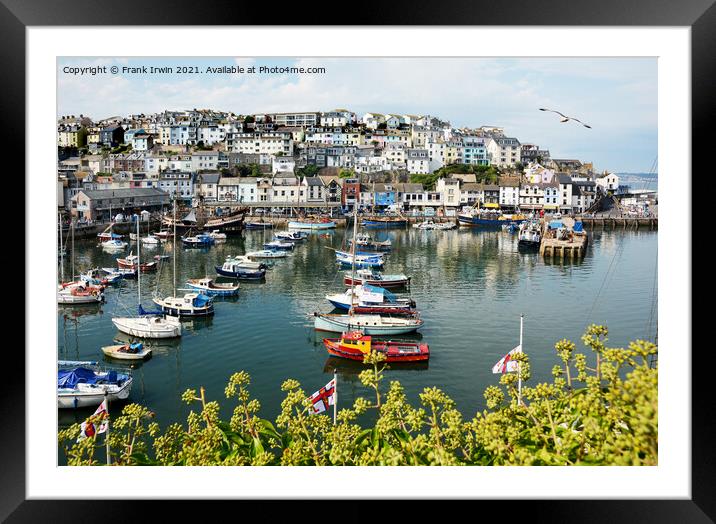 The little busy harbour of Brixham Framed Mounted Print by Frank Irwin