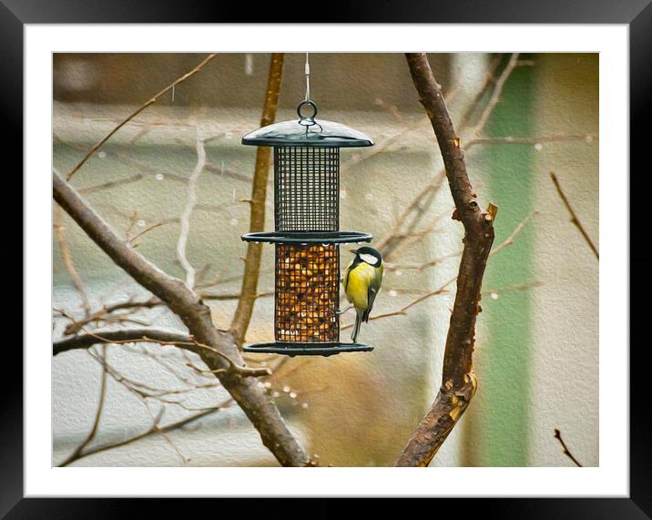  Marsh tit hanging on the seed feeder Framed Mounted Print by Luisa Vallon Fumi