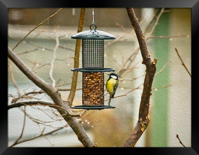  Marsh tit hanging on the seed feeder Framed Print by Luisa Vallon Fumi