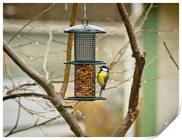  Marsh tit hanging on the seed feeder Print by Luisa Vallon Fumi