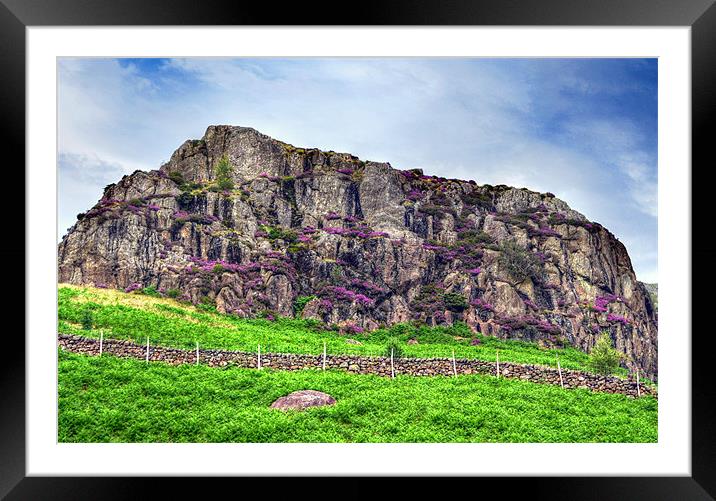 Heather Hill - Blea Tarn Framed Mounted Print by Victoria Limerick