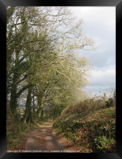 Devon Country Lane Framed Print by Elizabeth Chisholm