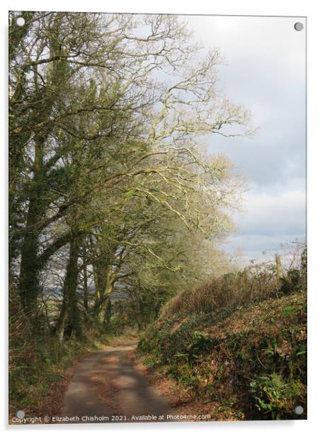 Devon Country Lane Acrylic by Elizabeth Chisholm
