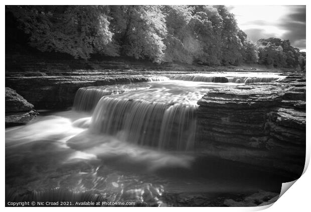 Aysgarth Falls, North Yorkshire Print by Nic Croad