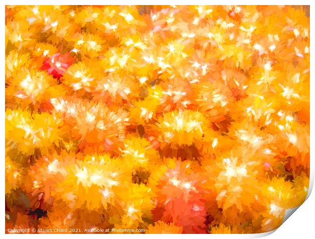 Bold vibrant colorful flowers Print by Travel and Pixels 