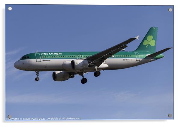 Aer Lingus Airbus A320-214                      Acrylic by David Pyatt