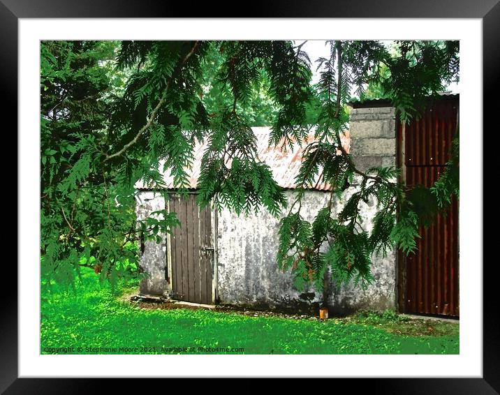 Garden shed Framed Mounted Print by Stephanie Moore