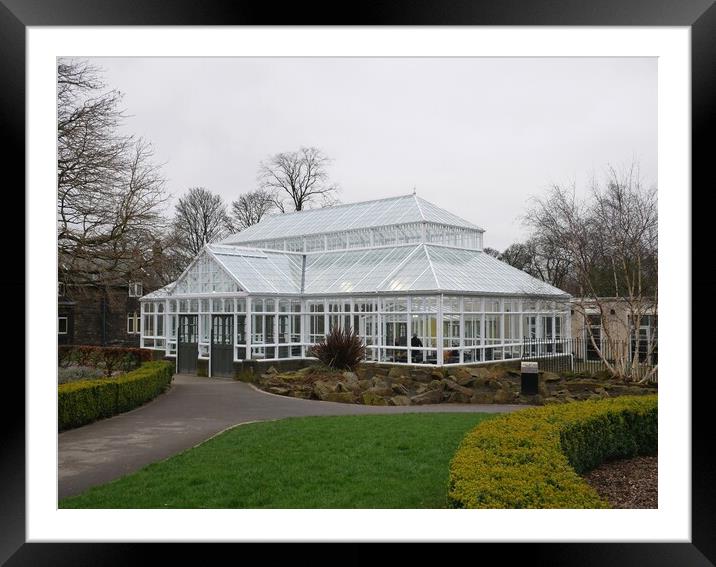 Large conservatory Huddersfield Framed Mounted Print by Roy Hinchliffe