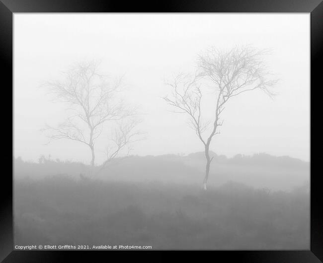 Two Trees Framed Print by Elliott Griffiths