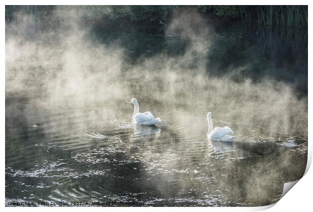 Swans in Mist Print by Keith Douglas