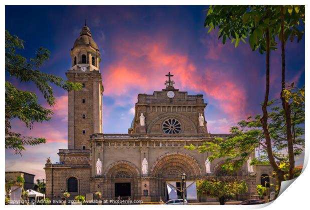 Manila Cathedral Philippines Print by Adrian Evans