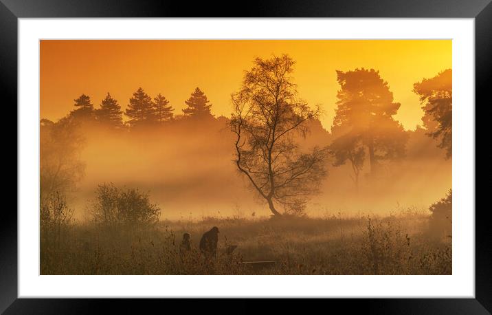 Oxshott Heath Surrey Framed Mounted Print by Clive Eariss