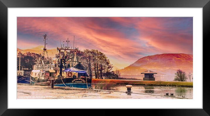 Life At Corpach  Framed Mounted Print by Antony Atkinson