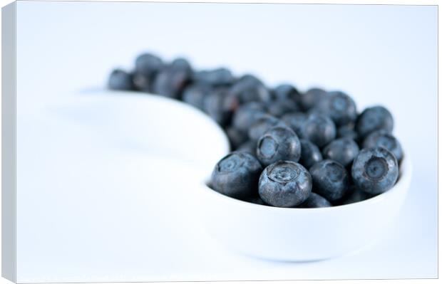 Dish Of Blueberries Canvas Print by Amanda Elwell