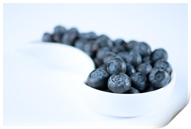 Dish Of Blueberries Print by Amanda Elwell