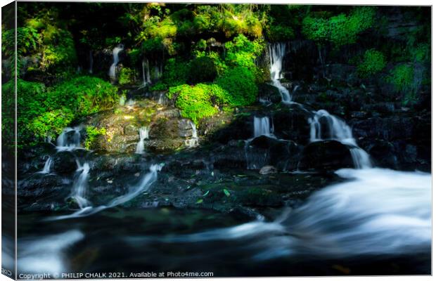 Magical fairy glen in the Yorkshire dales waterfalls 323  Canvas Print by PHILIP CHALK